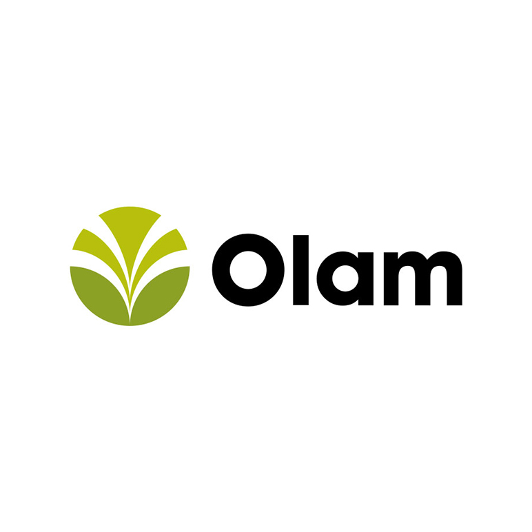 Olam